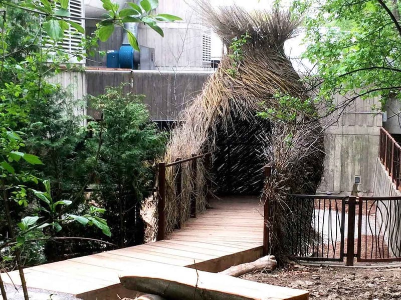 The “bird’s nest” at Ontario Science Center in Toronto, Ontario, is a walk-in structure made of sticks.