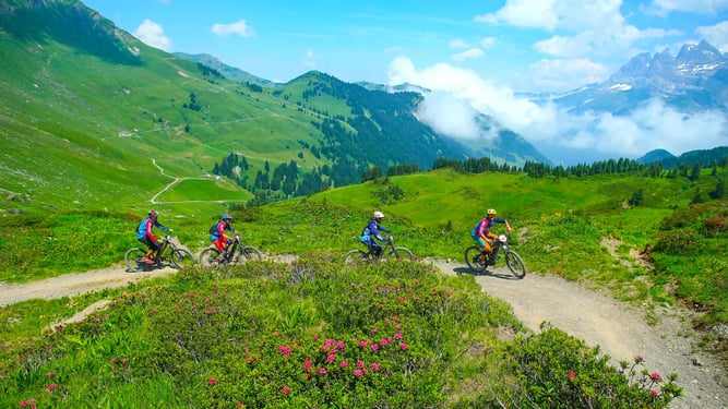 Four cyclists ride on a dirt path in an alpine setting.